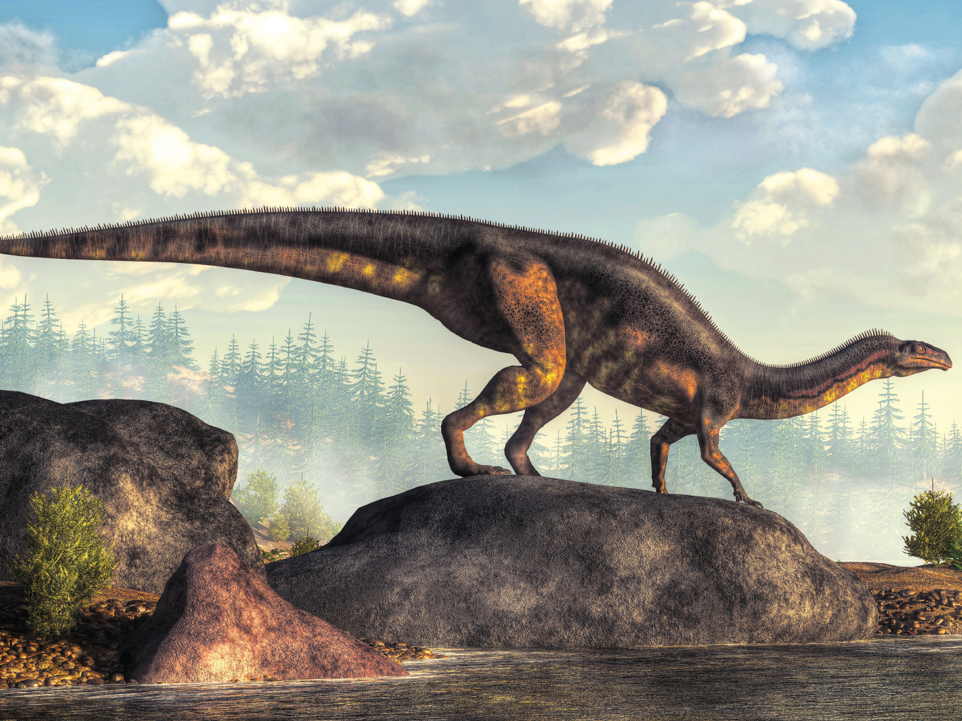 DeepSea Dinosaur Fossil Buries Evolution The Institute for Creation